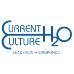 Current-Culture-H2O-Logo-w-slogan-White-2021 300x300