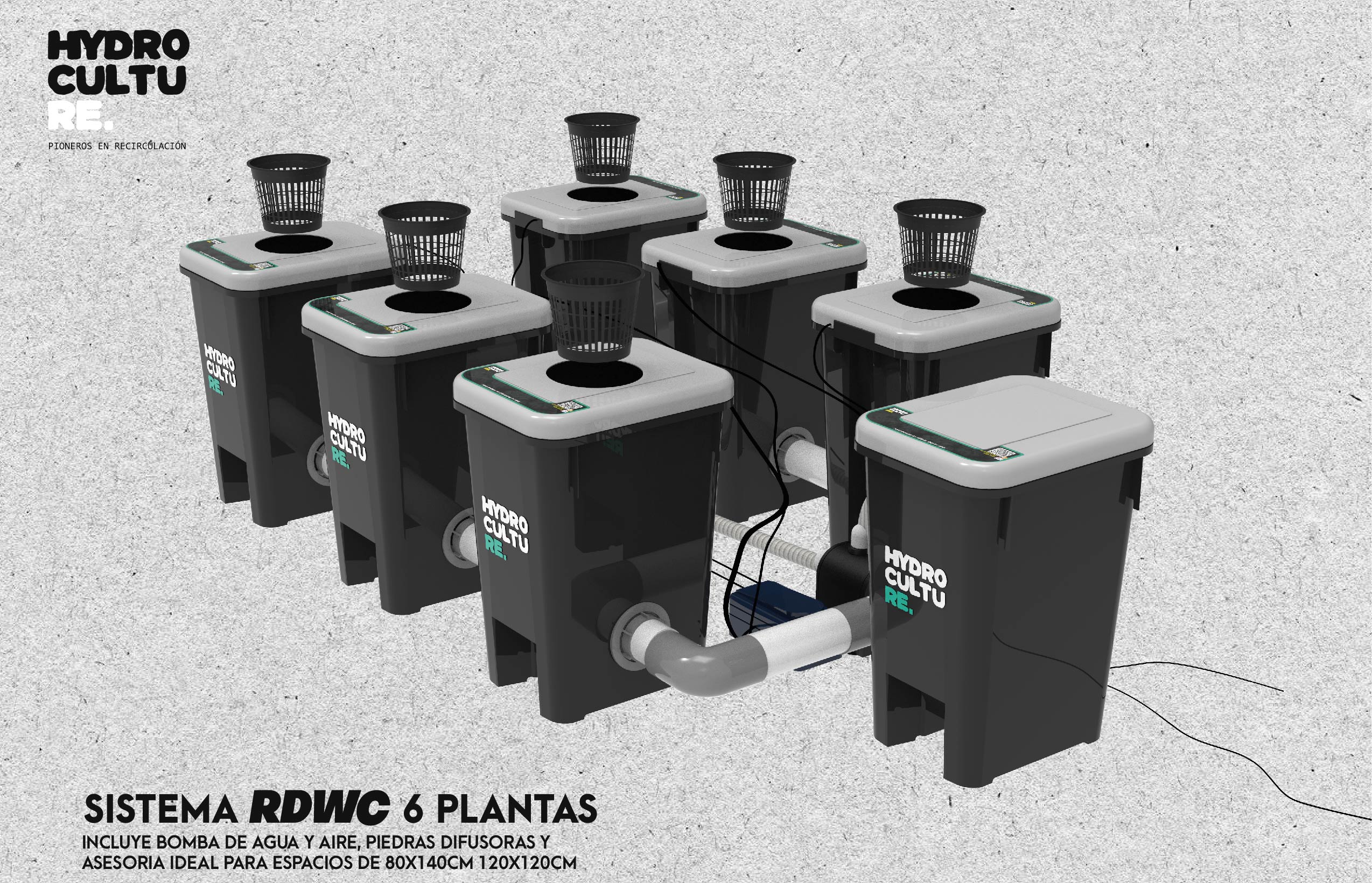 Sistema RDWC 6 Plantas – Hydro Culture